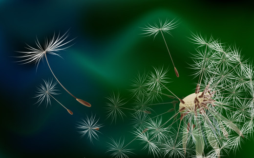 464045 (a): :1920x1200